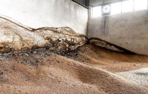 ۲۶ تُن نهاده دامی مخلوط شده با خاکستر در گلستان کشف شد