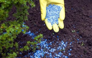 تأمین ۱۵ هزار تن کود پتاسه در گلستان تأمین ۱۵ هزار تن کود پتاسه در گلستان