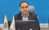ملک: بانک توسعه تعاون حامی اصلی فعالان بخش تعاون است